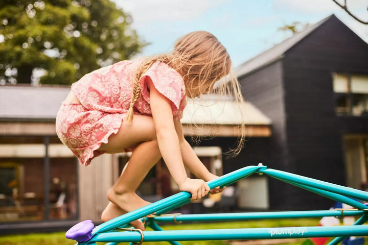 child on a climbing dome