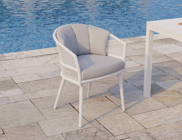 Avila Dining Chair (Avail with Charcoal or White Frame)