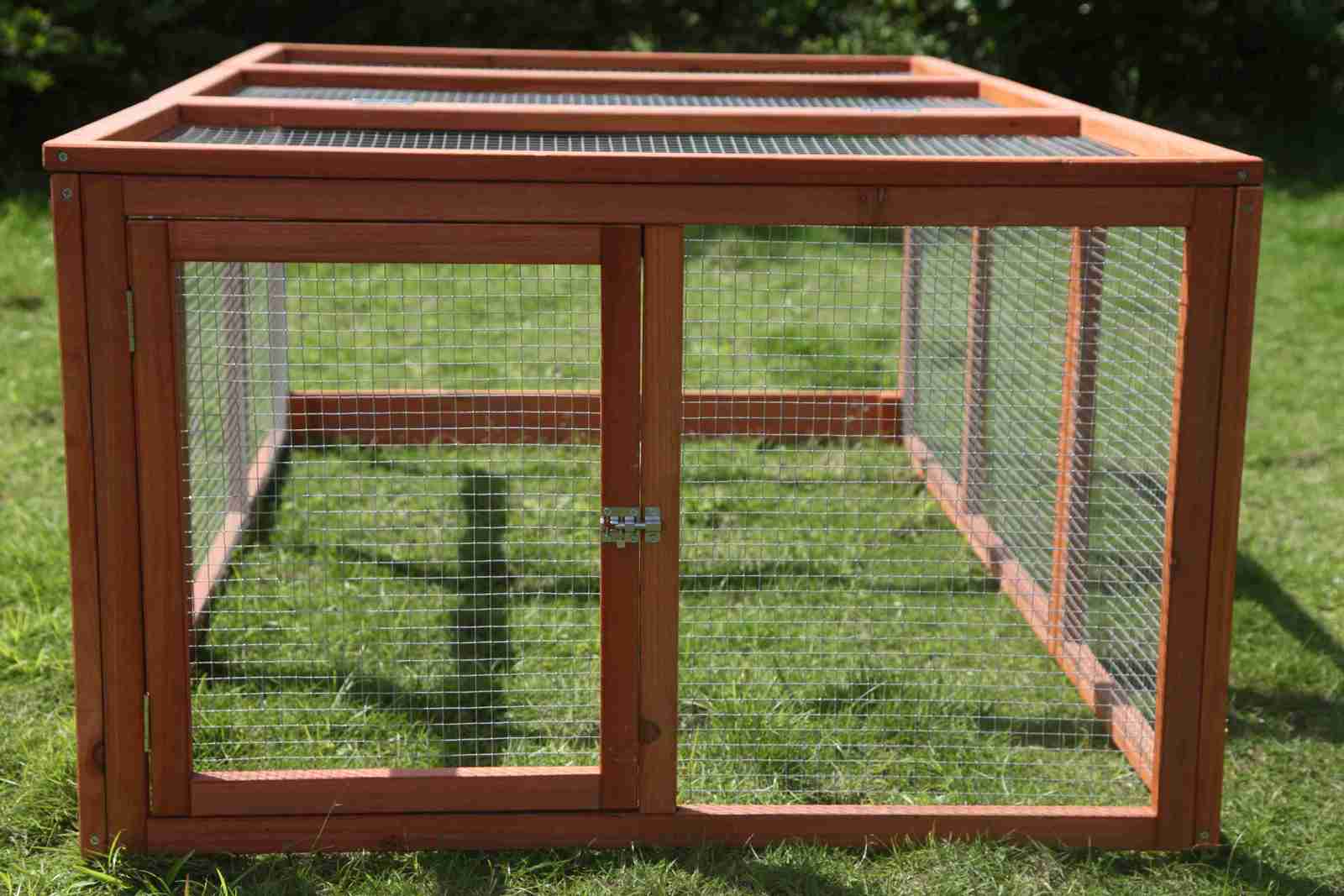 Guinea pig 2024 cages chicken coop